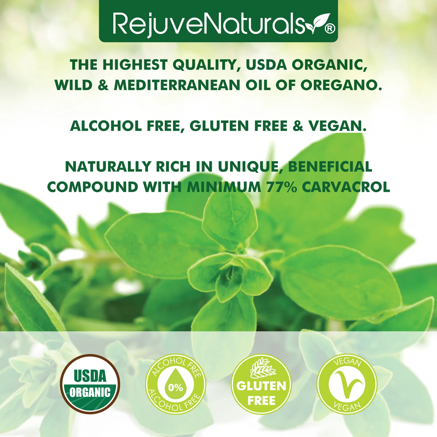 USDA Certified Organic Oil of Oregano - Wild, Mediterranean Oregano Oil. Concentrated Immune Support Drops. - Image 4